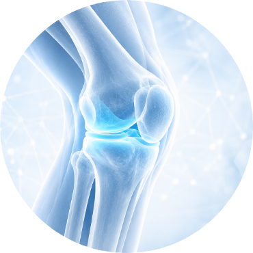 Knie